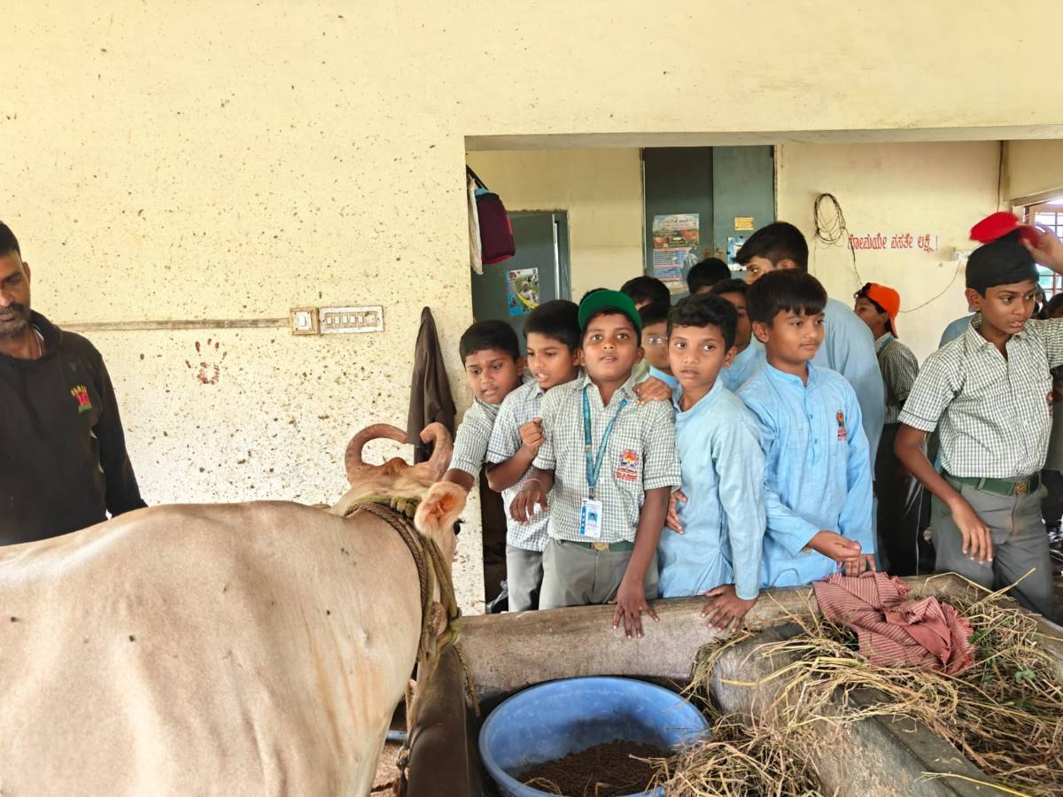 RVK – Davanagere Students Visited TKVK (11)
