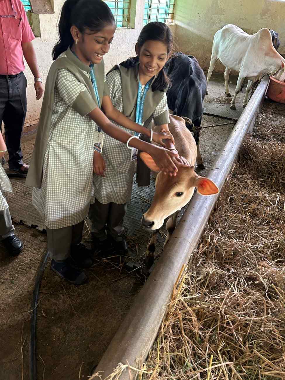 RVK – Davanagere Students Visited TKVK (8)